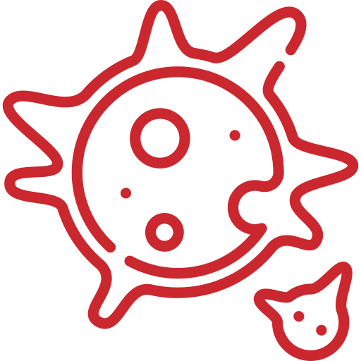 mould bacteria logo